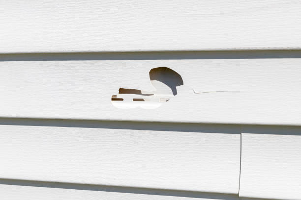 Best Garage Cleanout  in Plattsburgh West, NY
